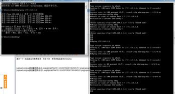 计算机网络工程师课程深度解析与学习交流